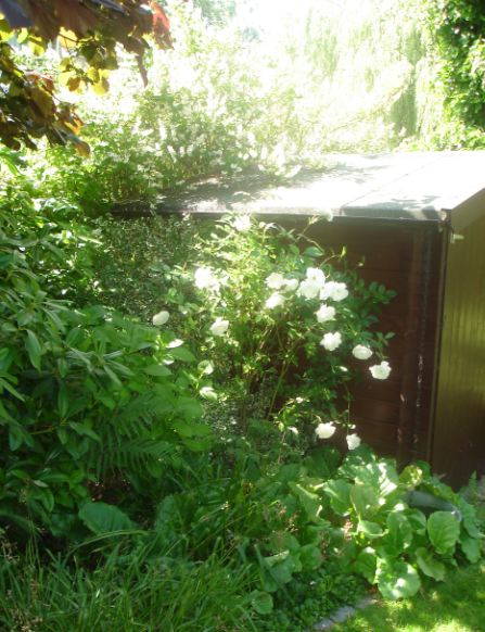 Gartenhaus_Wenn...
