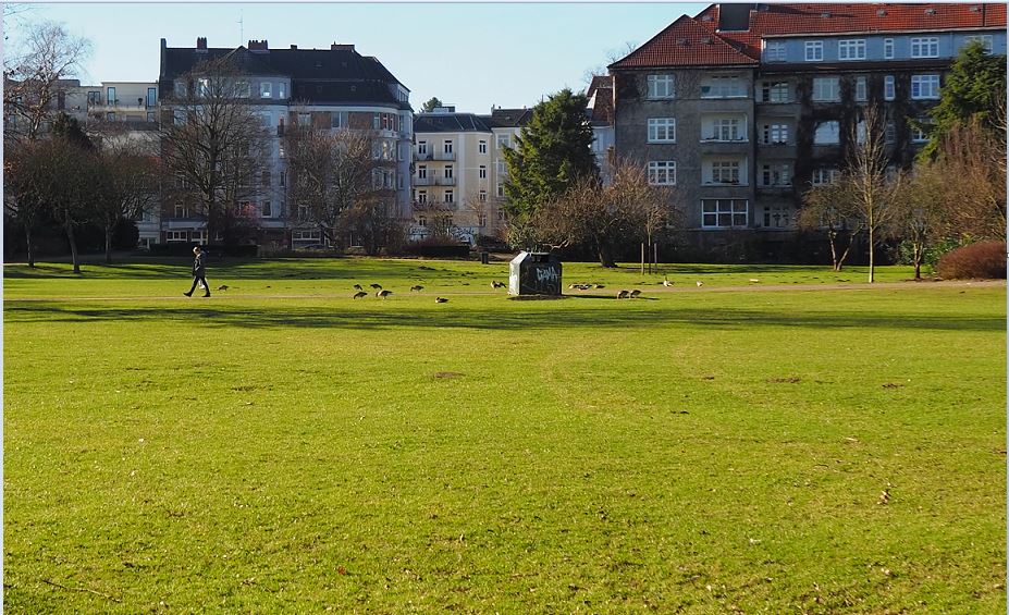 Hamburg - Eppendorf/Alster - Liegewiese Hayns Park (wird auch von Graugänsen gern besucht)