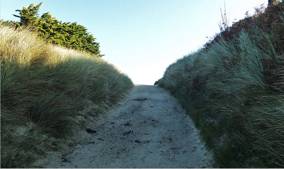 Am Meer (Ansteigender Weg zwischen bewachsenen Dünen hindurch)