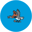 Sky Carp