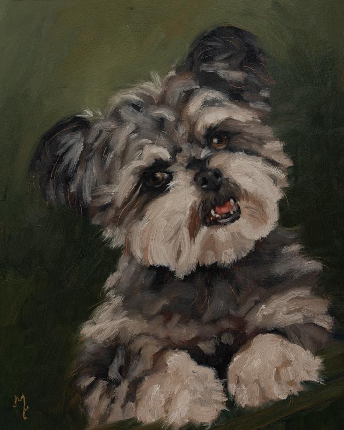 original oil painting | dog portrait | marian parsons fine art