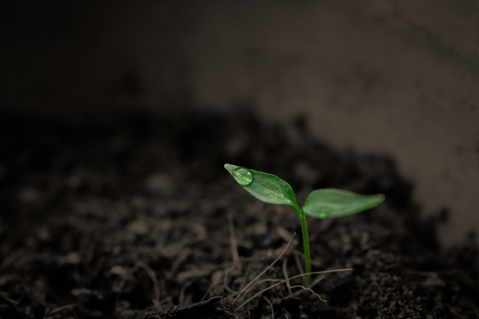 green-2551467_1280