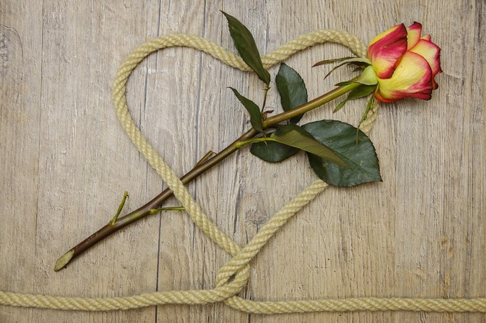 rose-3198626_1280