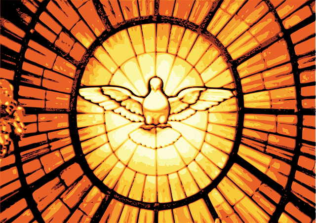 dove-145365_640