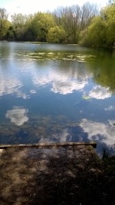 WP_20150427_018