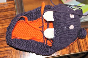 hippo2