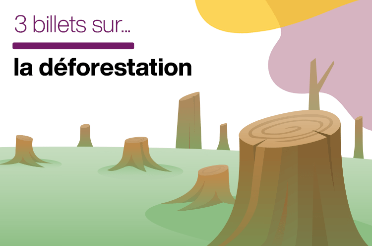 Article : La déforestation en Afrique