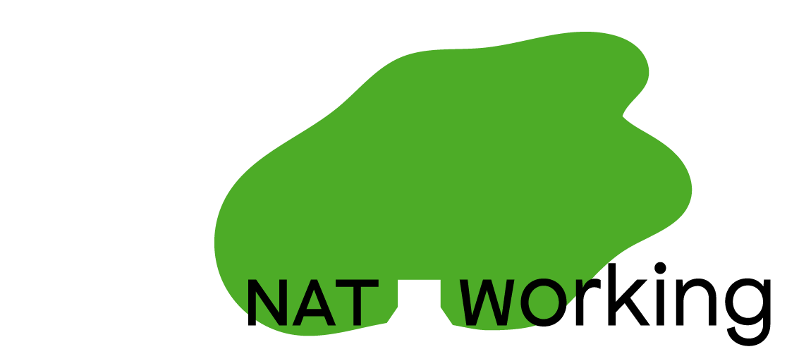 NATworking NATworking