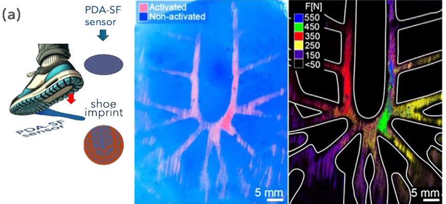 Sensory paint that records impact force with precision up to 770 N.