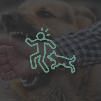 Dog Bite