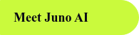 Meet Juno AI