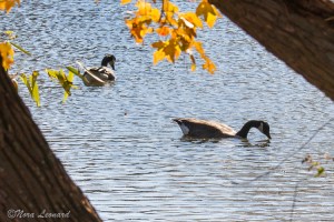 One Four Challenge October Week 3