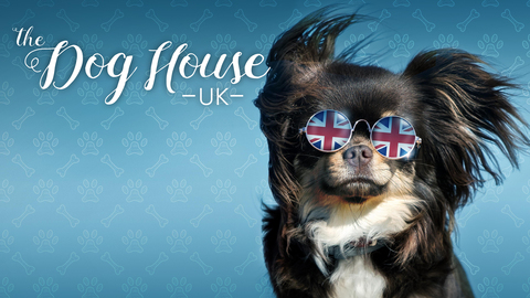 The Dog House: UK