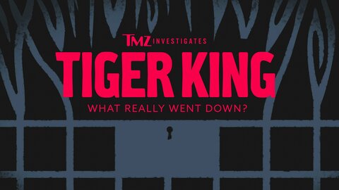 TMZ Investigates: Tiger King - What Really Went Down?