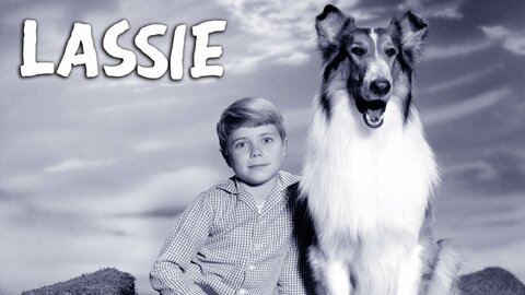 Lassie