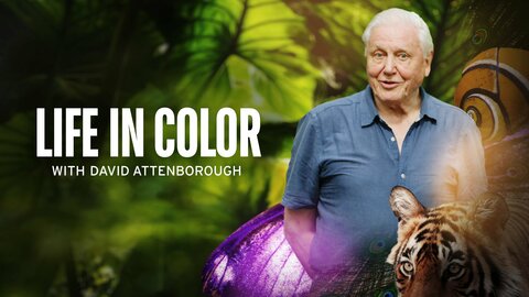 Life in Color With David Attenborough