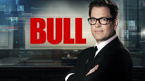 Bull (2016)