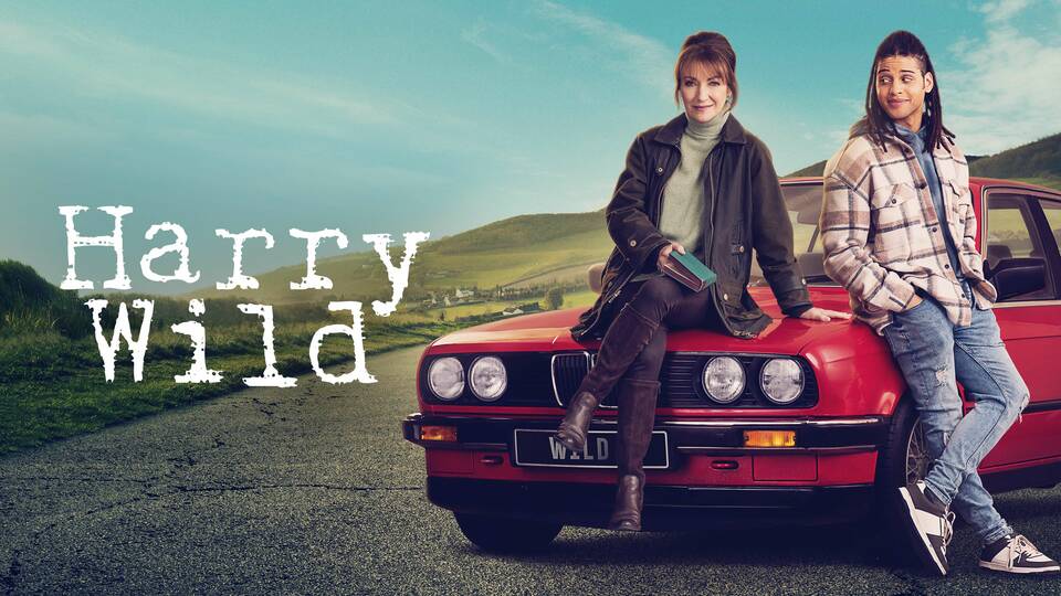 Harry Wild - Acorn TV