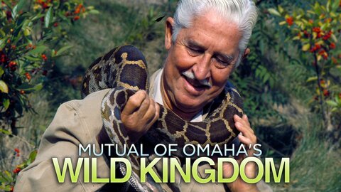 Mutual of Omaha's Wild Kingdom