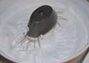 Jeg pisker eggehvite og sukker Jeg pisker eggehvite og sukker