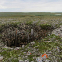 Ученые установили причину накопления тяжелых металлов в водах, донных отложениях и водорослях рядом с островом Вайгач