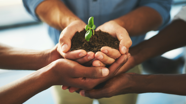 3 pairs of hands holding a new plant