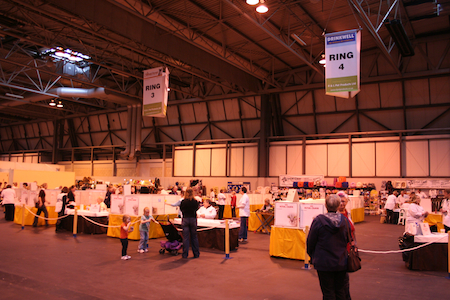 2012-11-24 at 11-37-01