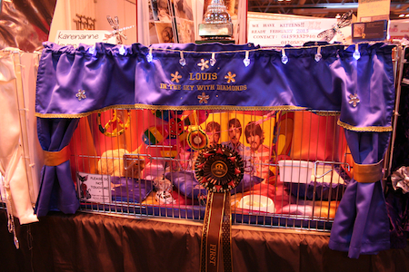 2012-11-24 at 15-43-19