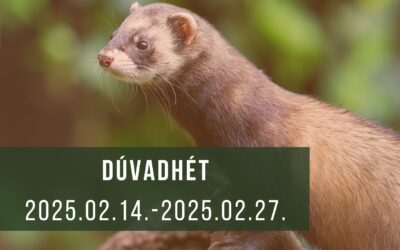 Tolna vármegyei „dúvadhét” 2025