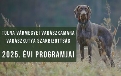 2025. év VAV vizsgái és versenyei