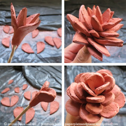 terracotta succulent stems process
