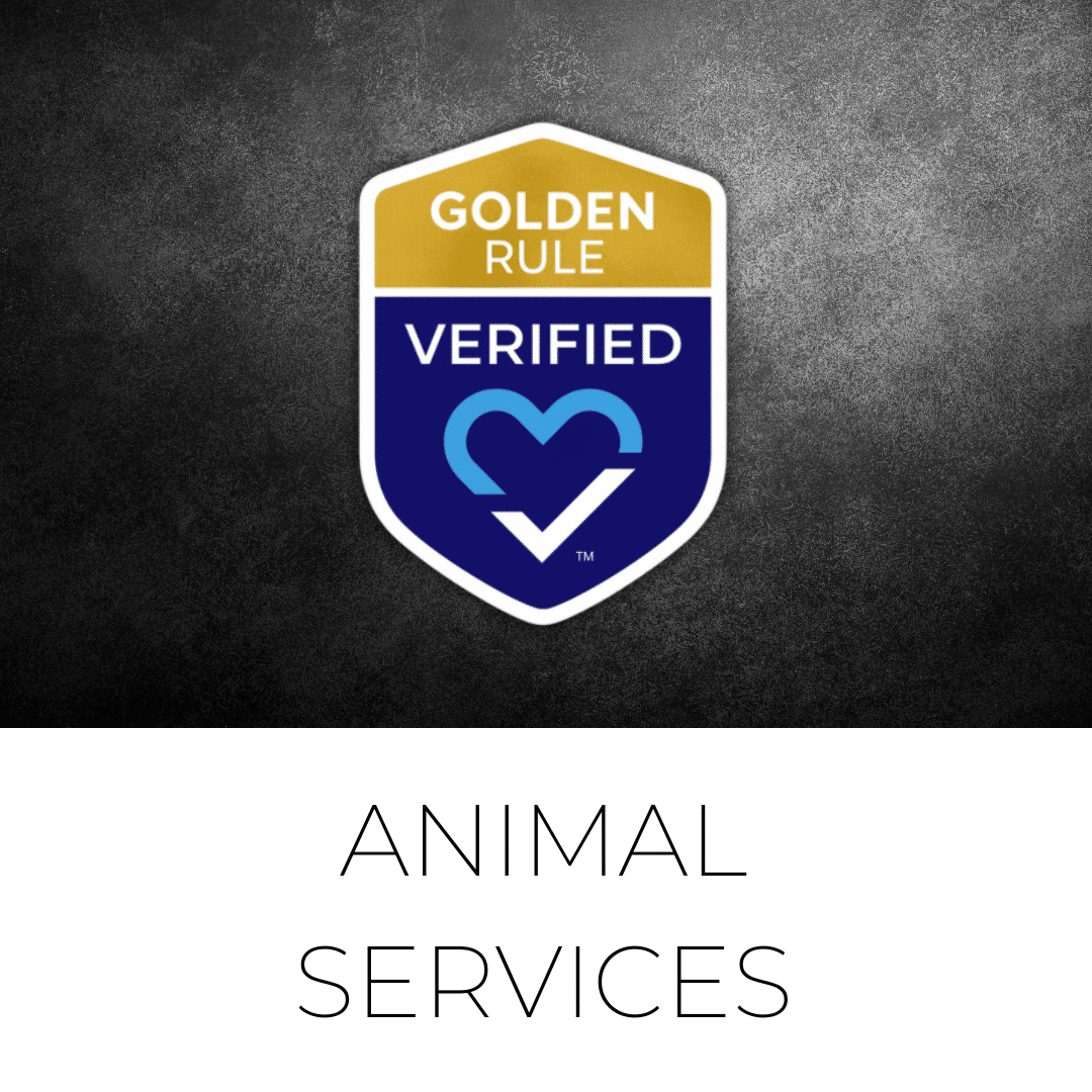 Animal Services