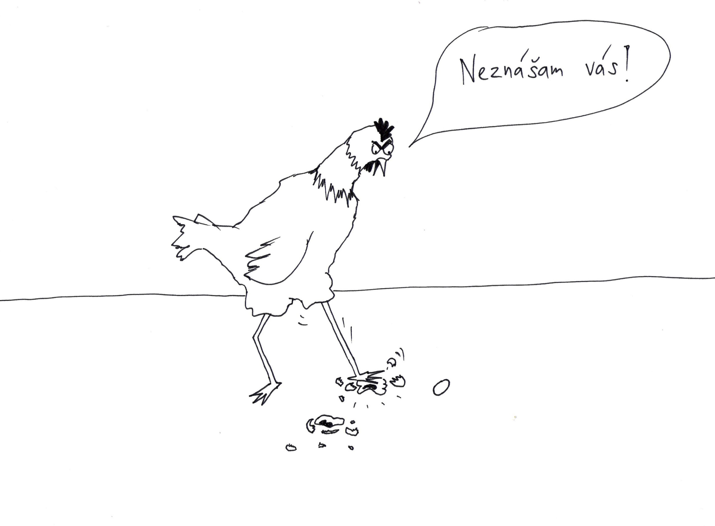 s46_Neznasam-vas-scaled