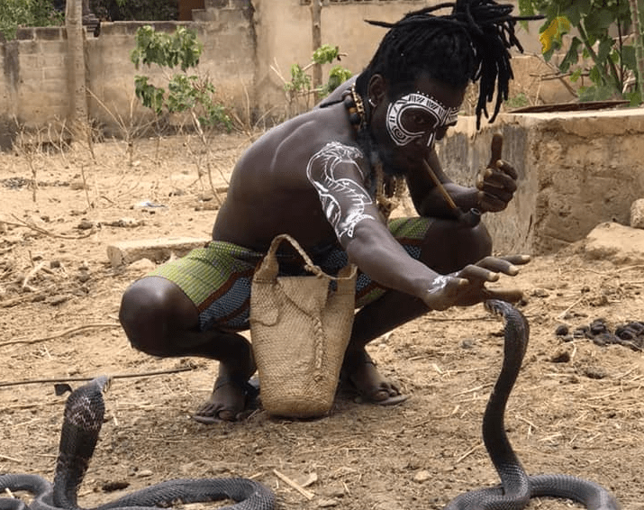 Article : « Le serpent est plus sage que l’Homme » : rencontre avec Degaule Panda, l’homme qui parle aux serpents