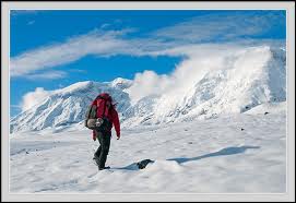 hiker