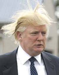 hair