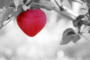 heart