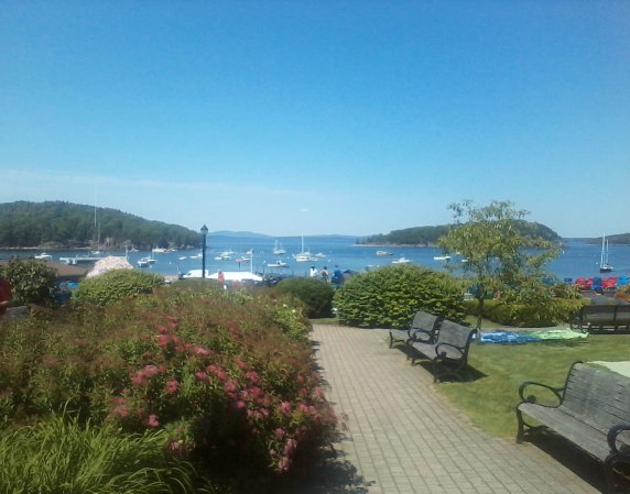 Agamont Park view