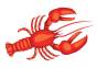 lobster