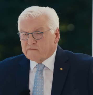 „Überparteilichkeit reicht nicht mehr“ – Steinmeier demontiert sein eigenes Amt