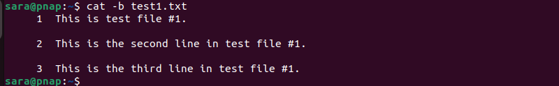 cat -b test1.txt terminal output