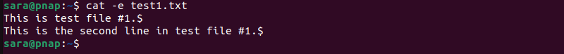 cat -e test1.txt terminal output