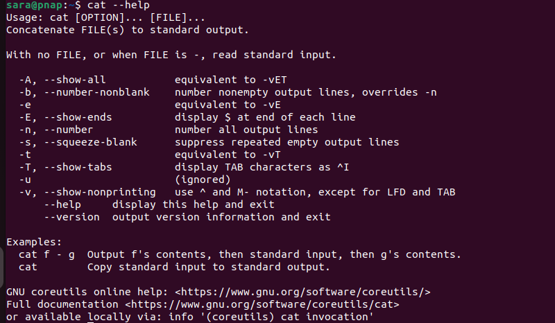 cat --help terminal output