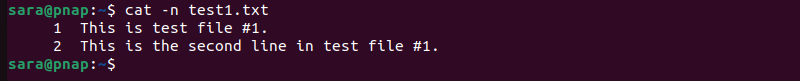 cat -n test1.txt terminal output