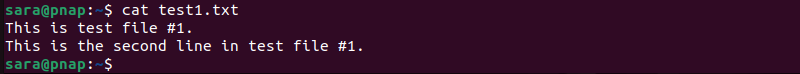 cat test1.txt terminal output