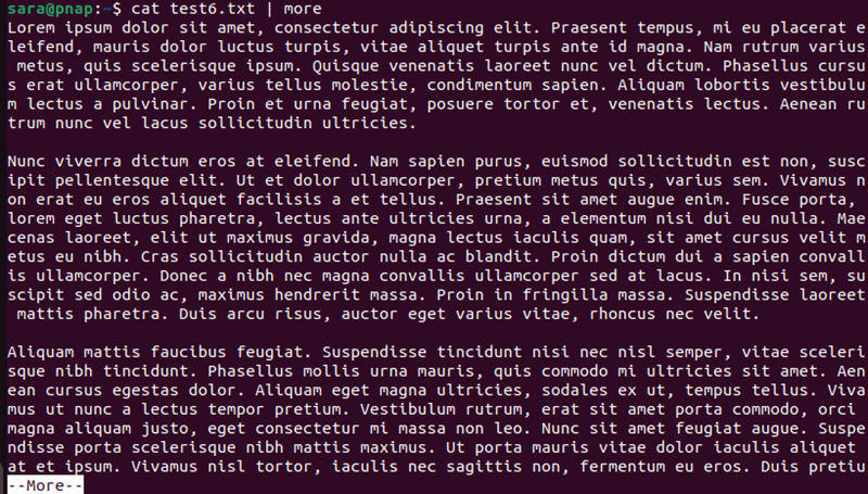 cat test6.txt | more terminal output