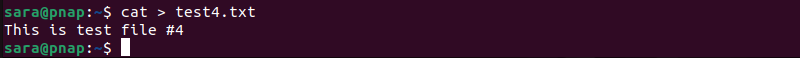 making test4.txt terminal output