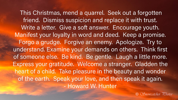 make Christmas shine
