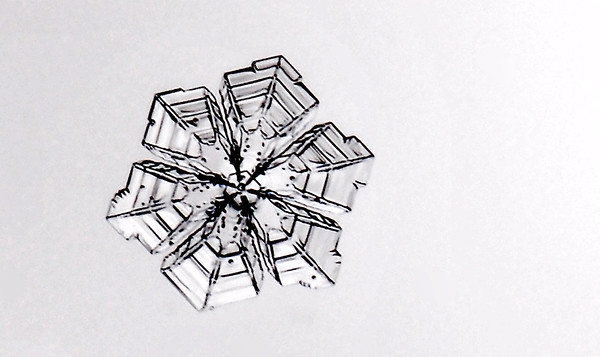 Grand Mesa Snowflake