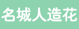 云霄名城人造花有限公司